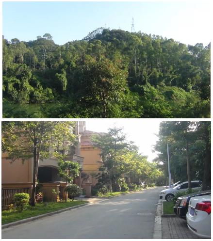 obµç¾º¡¤(ÖйúÓÎ)µç×Ó¾º¼¼Æ½Ì¨