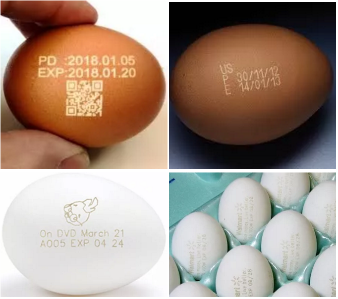 obµç¾º¡¤(ÖйúÓÎ)µç×Ó¾º¼¼Æ½Ì¨