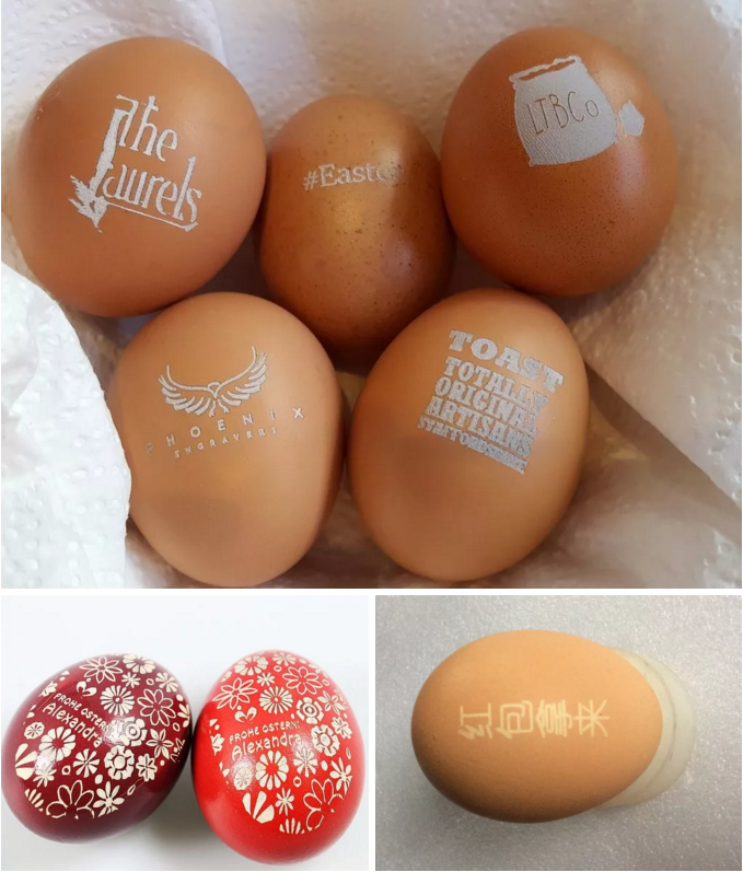 obµç¾º¡¤(ÖйúÓÎ)µç×Ó¾º¼¼Æ½Ì¨