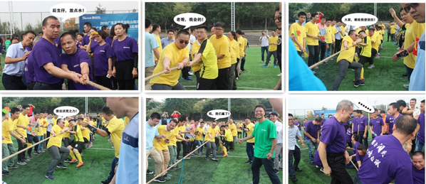 obµç¾º¡¤(ÖйúÓÎ)µç×Ó¾º¼¼Æ½Ì¨