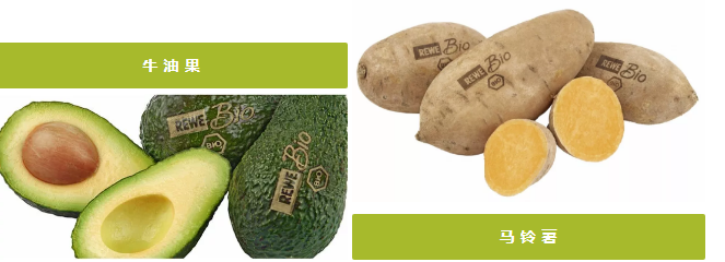 ob电竞·(中国游)电子竞技平台