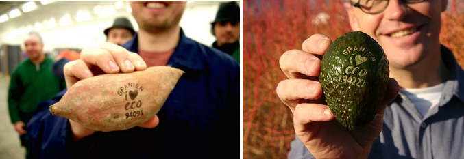 ob电竞·(中国游)电子竞技平台