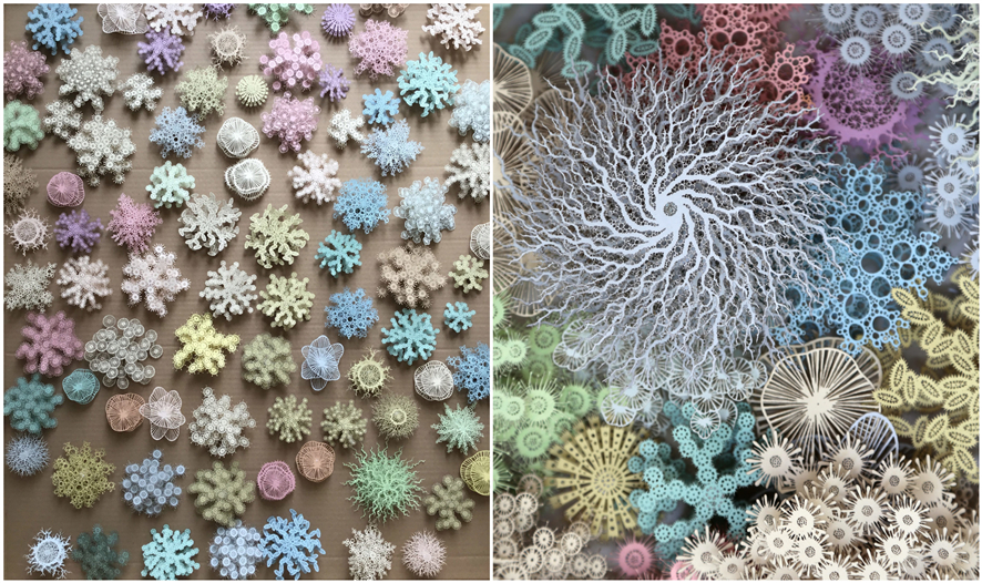 ����ֽ������