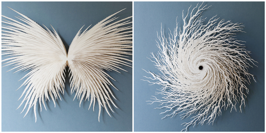 ֽ�ż����Կ�