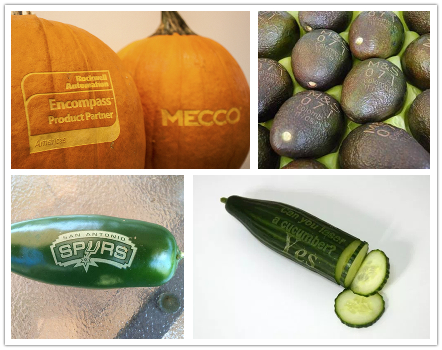 ������ʳ��