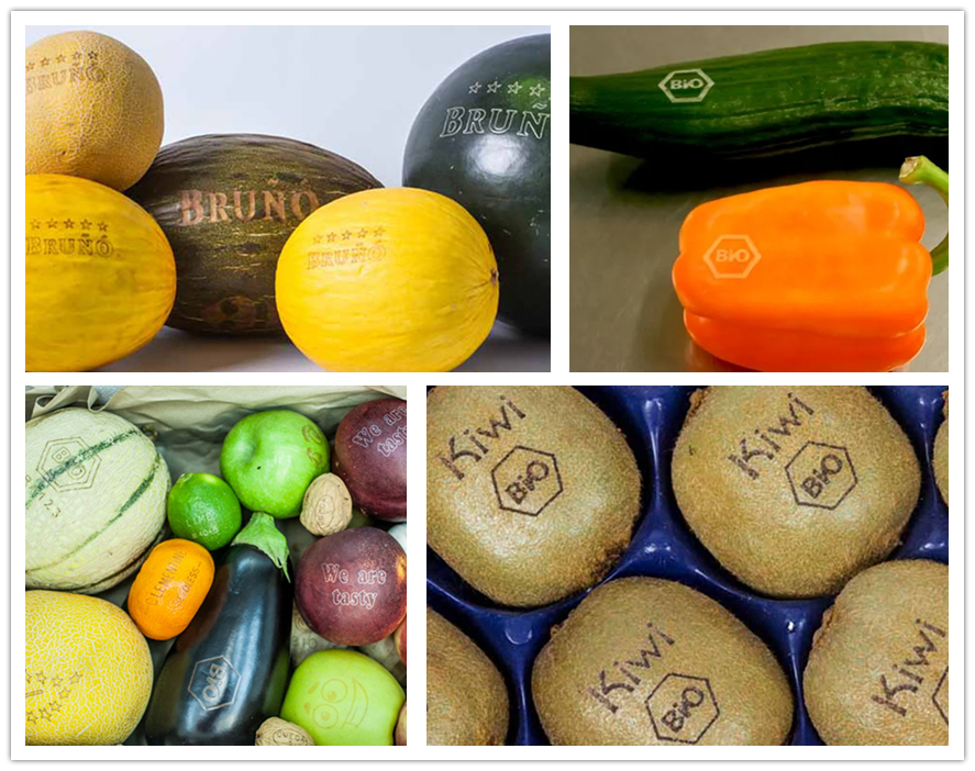 ʳ�Ｄ�����,ʳ�Ｄ����,������ʳ��