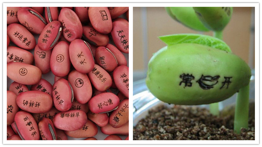 ������ħ��,����ħ�����