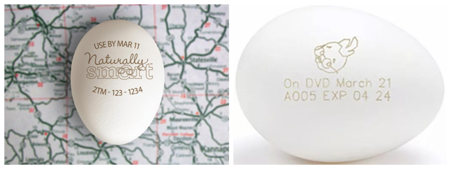 ¼¦µ°¼¤¹â´òÂë ¼¦µ°¼¤¹â´òÂë