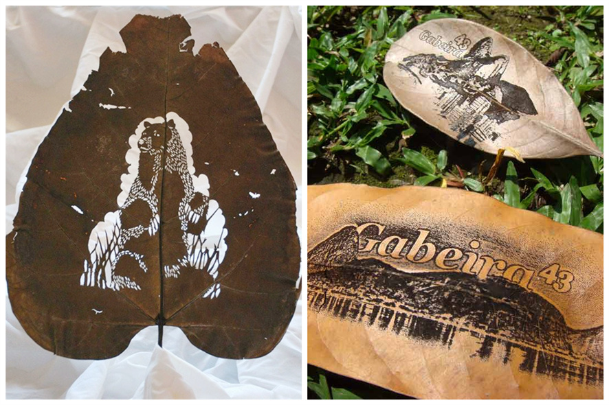 ��Ҷ�����Կ�,��Ҷ�����Կ�,Ҷ�Ӽ����