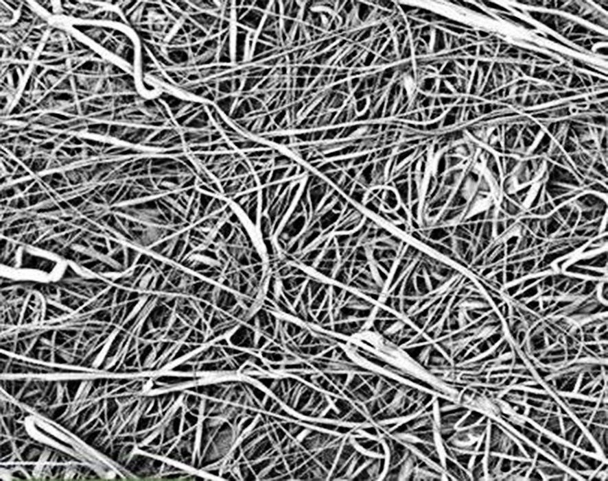 ±¶Êý·Å´óºóµÄÈÛÅ粼΢¹Û½á¹¹Í¼ ±¶Êý·Å´óºóµÄÈÛÅ粼΢¹Û½á¹¹Í¼