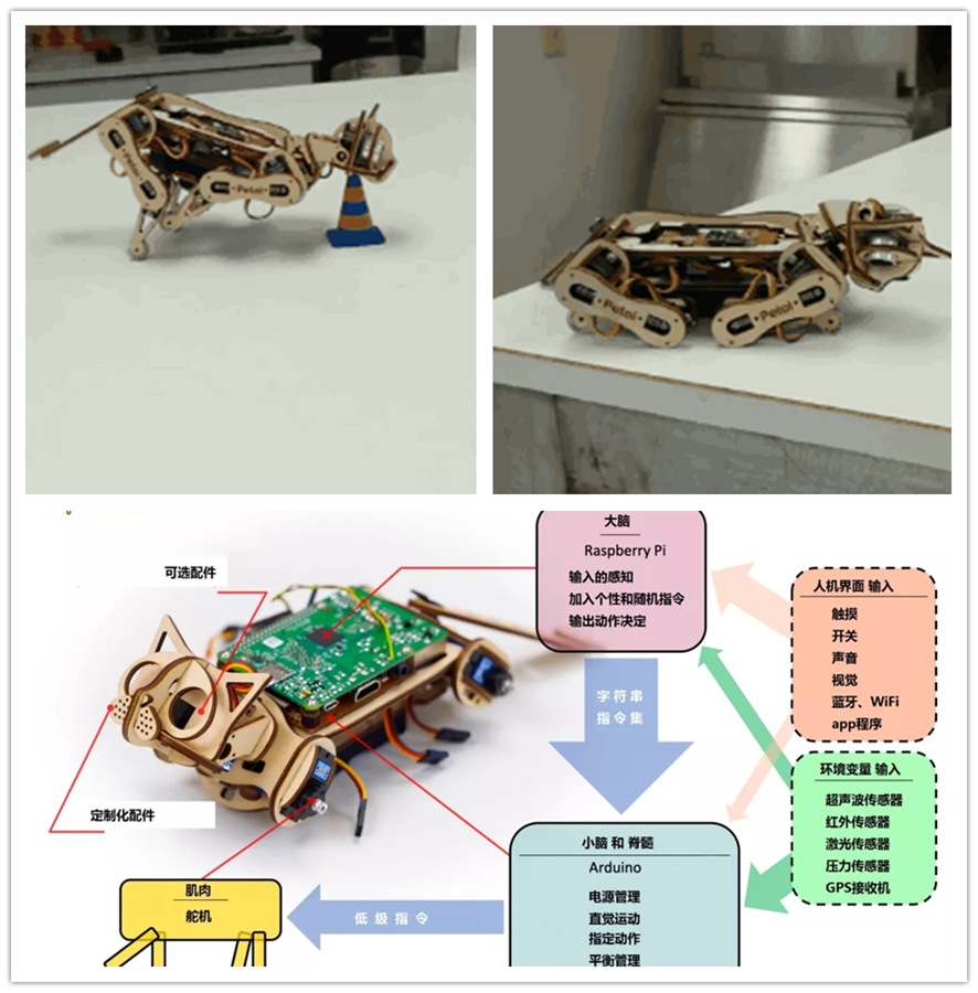 ob�羺��(�й���)���Ӿ���ƽ̨