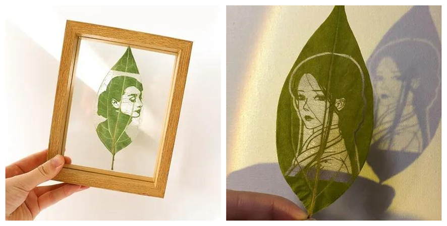 ob�羺��(�й���)���Ӿ���ƽ̨