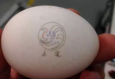 ob�羺��(�й���)���Ӿ���ƽ̨