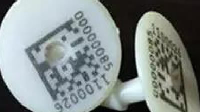 ������ά��