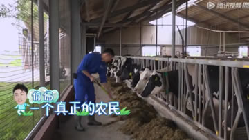 ob�羺��(�й���)���Ӿ���ƽ̨