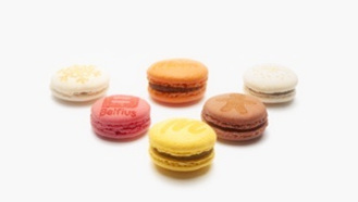 ʳ�Ｄ�����,ʳ�Ｄ����,ʳ�Ｄ���깤��