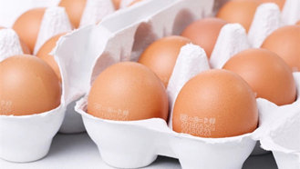 ������̼��������,������������,������̼������������