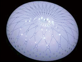 �ǿ������ּ����и�