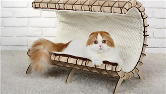 ��������ս������ͨ�ü����и�����⹤��Ϊ������N��1��è�����