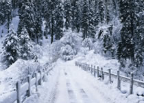 冬至大如年，，，富家ob电竞集团祝您冬至快乐！