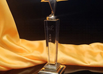 奖杯激光镌刻机，，，，，，，，让您的声誉永世绽放光线