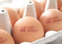 激光打标机手艺为鸡蛋标记ta的专属身份