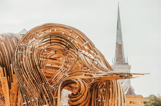 ob电竞·(中国游)电子竞技平台