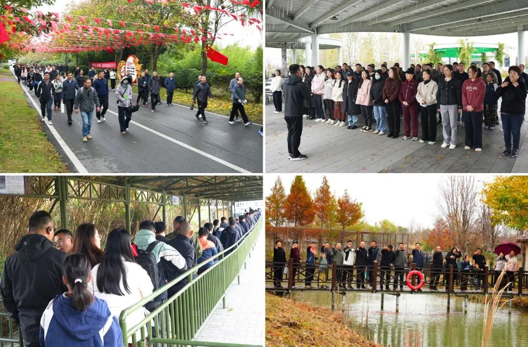 ob电竞·(中国游)电子竞技平台