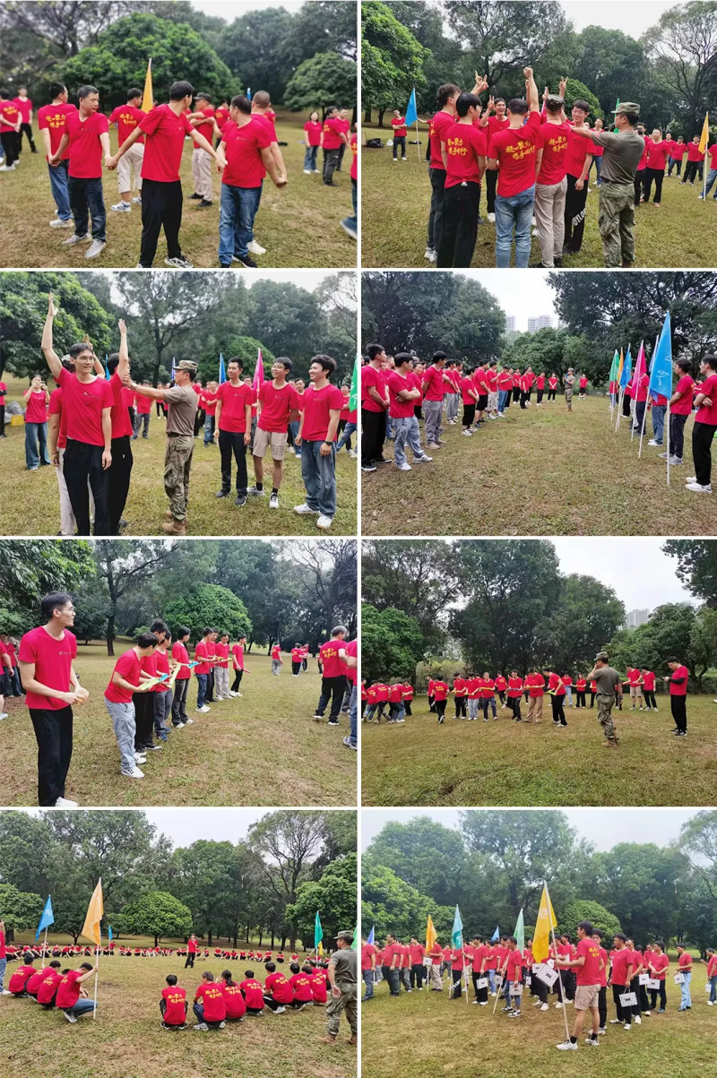 ob电竞·(中国游)电子竞技平台